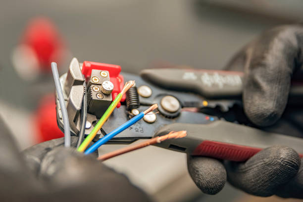 Best Electrical Upgrades for Homes  in Century, FL